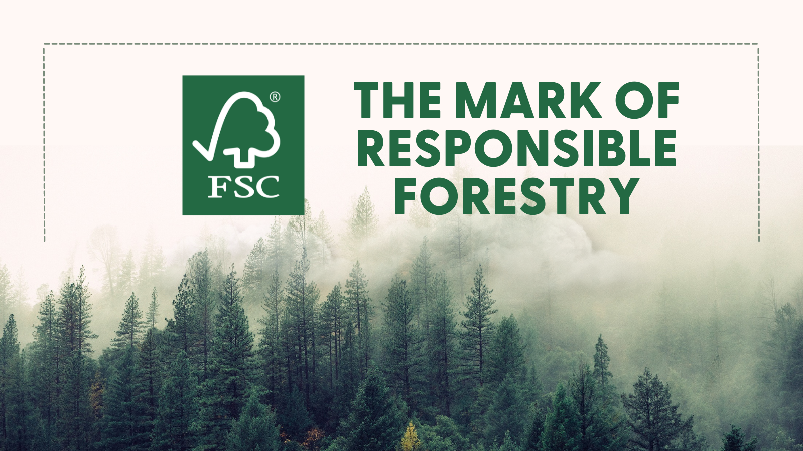 Linkedin Post Forest Stewardship Council